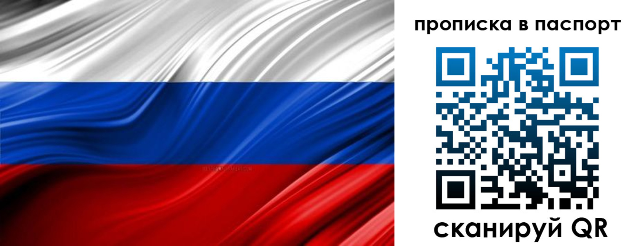 временная регистрация гарантия в Димитровграде